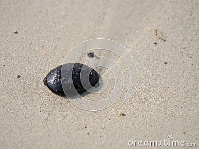 Close up of a tar ball / tar patty on a beach on Bintan island Stock Photo